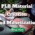 PLR Material Creation And Monetization Explained