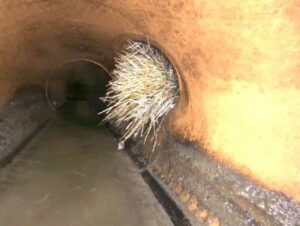 Drain Cleaning in Chicago