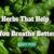 Herbs That Help You Breathe Better