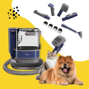 pet vacuum