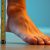 Wide Feet: Simple Methods to Measure Your Shoe Size