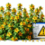 Herbal Interactions with Medications in the UK