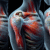 Acupuncture for Frozen Shoulder Pain Relief Techniques