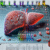 Liver Blood Test Insights from Experts in Salford