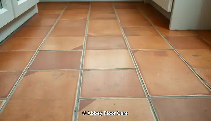 Understanding What Causes Quick Dirt Accumulation on Terracotta Floors