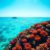Belize Travel Guide: Key Info Every Visitor Needs