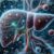 Top UK Selections for Liver Detox Herbs