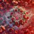 Ferritin Blood Test Insights for Residents of Torquay