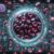 Ferritin Blood Test Insights for Residents of Warwick