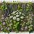 Herbal Remedies in the UK: Your Complete Guide