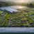 Herbs Sourcing Guide: Quality Selection for the UK